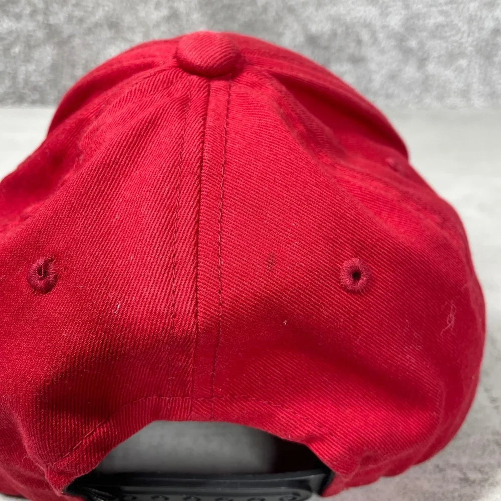 Fox hat has